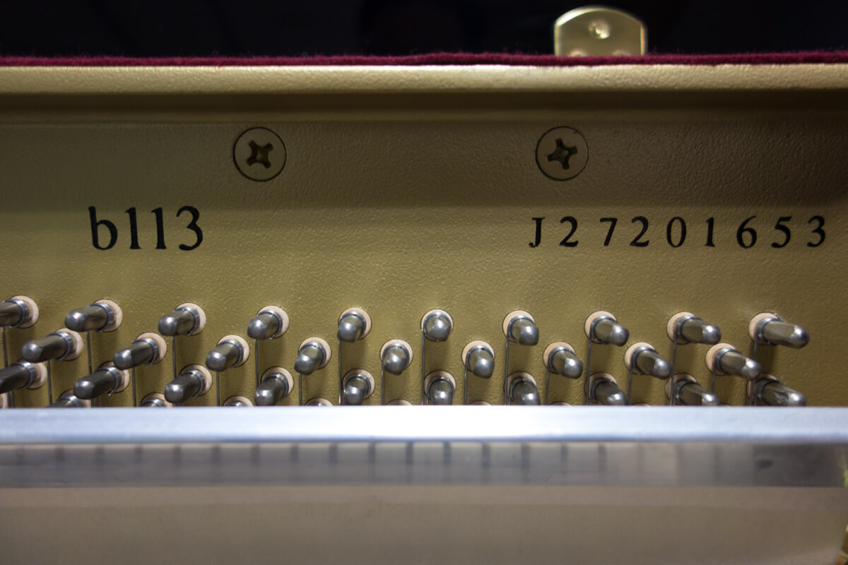 ヤマハ b113