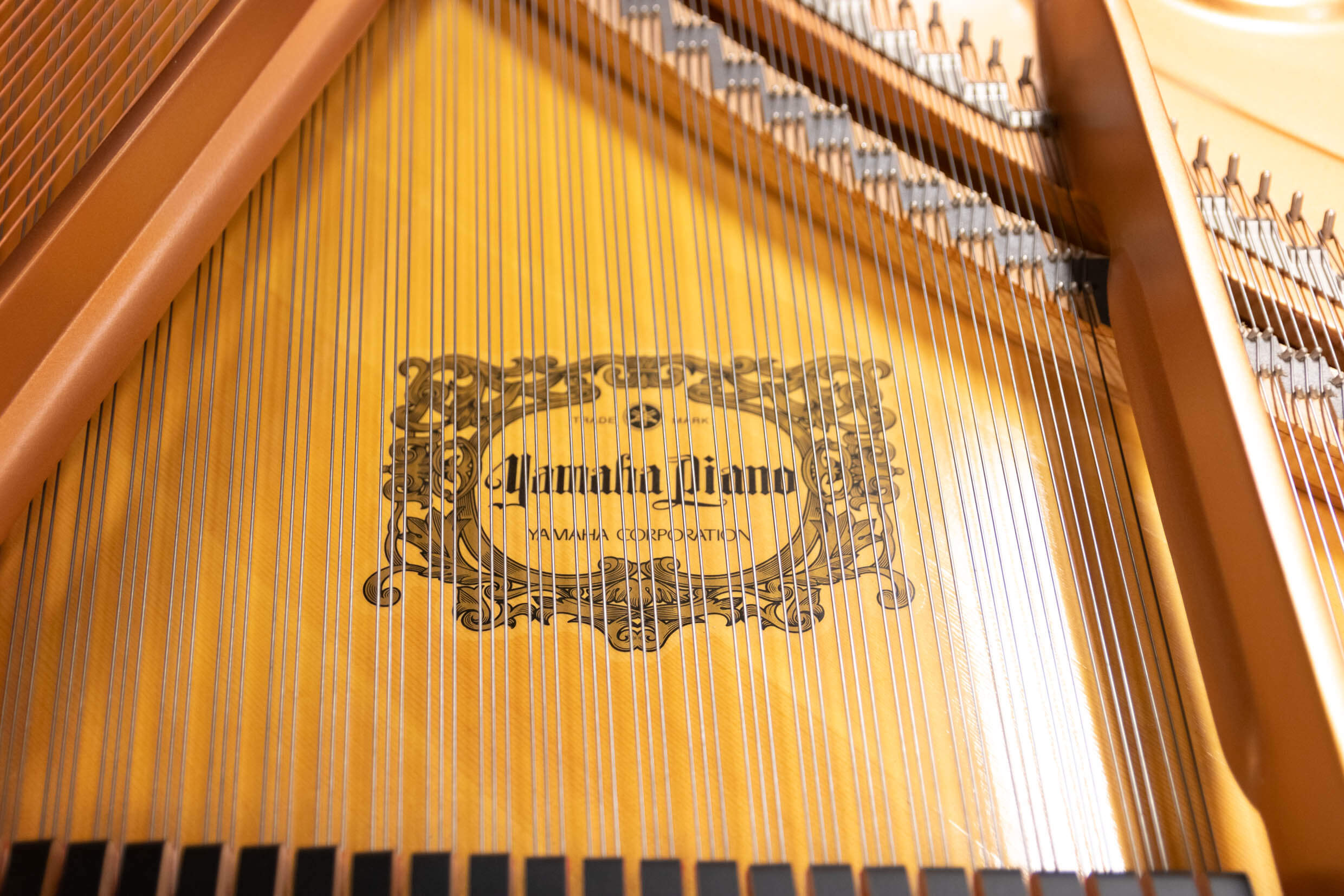 ヤマハ C3L| 中古ピアノ 自社工房リフレッシュ済3年保証付 | 新響楽器