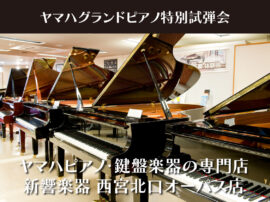 20250グランドピアノ試弾会A3バナー