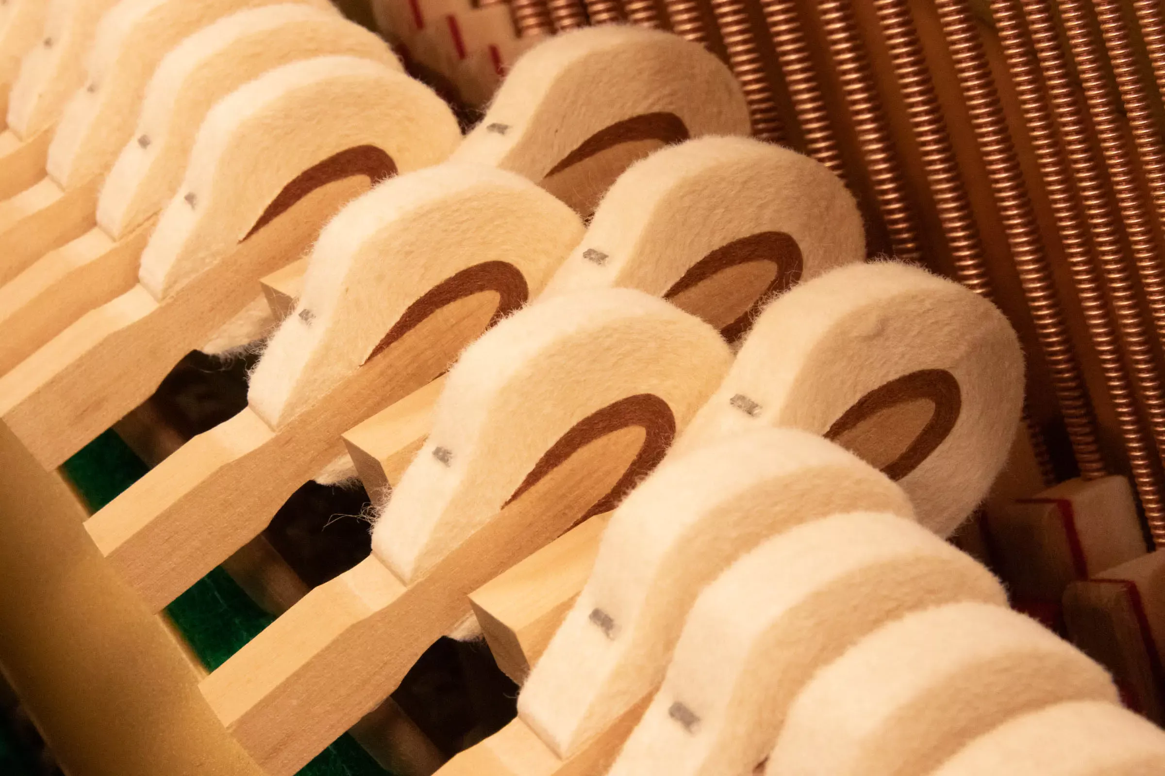 4月29日大人の音楽DAY「大人のためのピアノ解体セミナー」