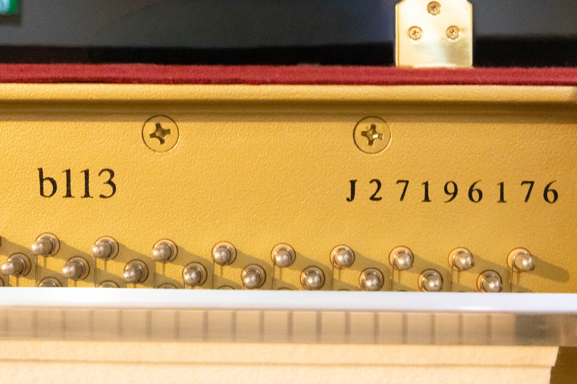 b113-j27196176